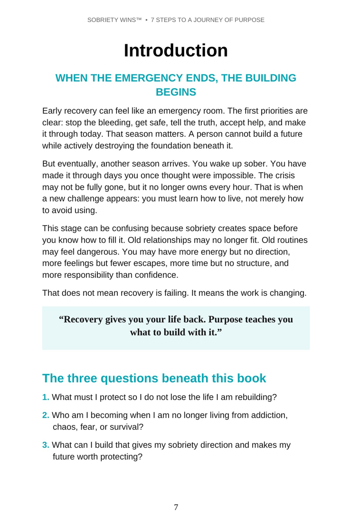 Sobriety Wins introduction preview page