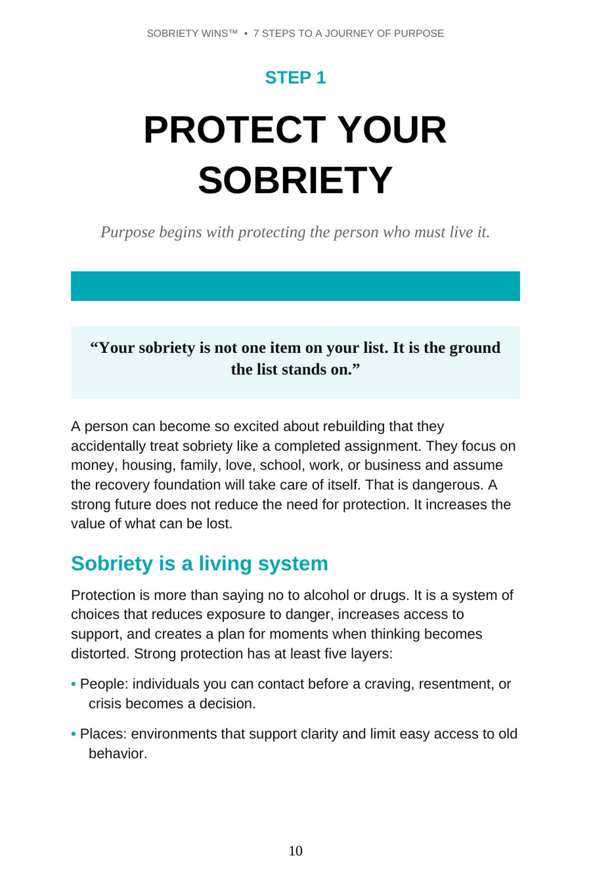 Step One Protect Your Sobriety preview page