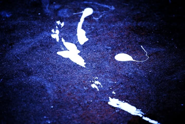 White painted marks scattered across a deep blue textured ground, photographed as an abstract composition